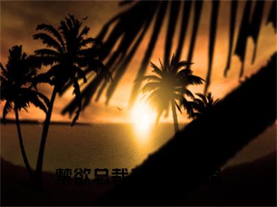 前传乔雅司徒炫续集:全文+番外禁欲总裁千亿彩礼追妻：结局+番外新上热文
