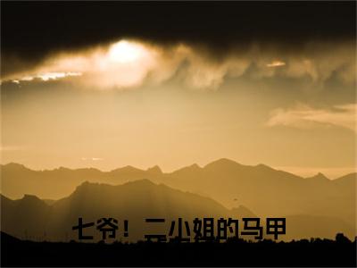 热门章节_七爷！二小姐的马甲掉不停：结局+番外精编之作 顾彦秋叶辞卿：结局+番外评价五颗星