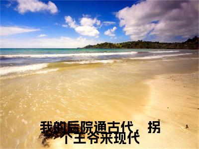 我的后院通古代，拐个王爷来现代彩蛋（沈念）全书在线下载阅读完美终章小说大结局
