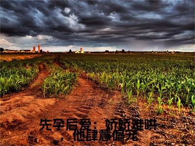 前传_笔趣阁（先孕后爱：娇娇难哄，他肆意偏宠）先孕后爱：娇娇难哄，他肆意偏宠小说(裴青寂温颂)章节在线阅读