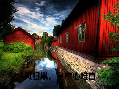 凤归巢，皇帝心难自控林尽欢后续(凤归巢，皇帝心难自控)（林尽欢）完整章节列表_笔趣阁
