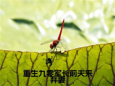 （重生九零军长前夫来弃妻）重生九零军长前夫来弃妻小说(孟屿中顾忆歆)整书在线无广告高口碑小说
