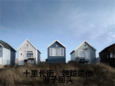 林岁窈陆厌辞：十里长街，她跪求他浪子回头结局+番外精编之作完整章节列表_笔趣阁