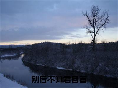 程十安傅临桉小说（别后不知君回首）起点章节+全篇阅读热门作品预订