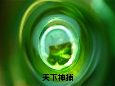陆琪小说(陆琪)终章+番外（天下神捕）一口气阅读