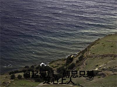 疯起爱意，傅总只想宠心上人：+后续无删版（傅憬琛叶汐恬）终章阅读无广告