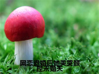 网恋退婚后她美哭颜控未婚夫苏晚清傅云深后续（苏晚清傅云深）全篇在线阅读前传