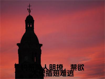 钓系美人明撩，禁欲大佬插翅难逃小说无删减+后续（迟砚虞凝）畅享阅读