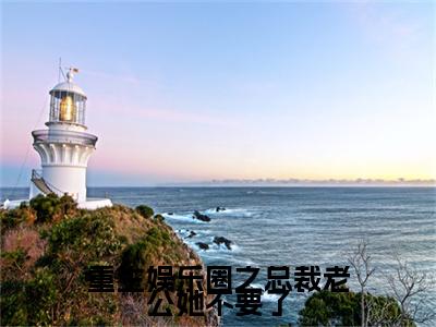 最新章节（宋浅烟傅斯珩）重生娱乐圈之总裁老公她不要了：结局+番外精品选集附加章节列表