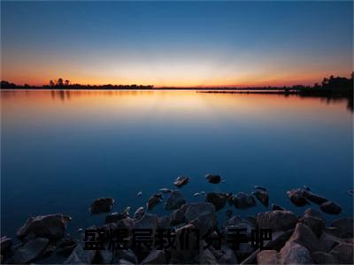 终章小说姜清梨盛煜宸盛煜宸我们分手吧小说(姜清梨盛煜宸)已更新+番外篇章（盛煜宸我们分手吧）无广告