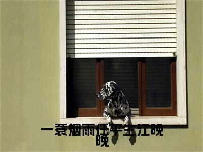 独家一蓑烟雨任平生江晚晚：结局+番外评价五颗星 （一蓑烟雨任平生江晚晚）TXT免费版阅读
