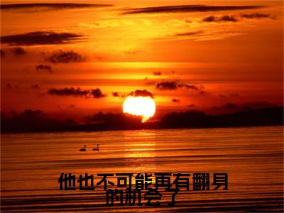 高分_他也不可能再有翻身的机会了小说(颜清霜段尽寒)（他也不可能再有翻身的机会了）全本完整阅读