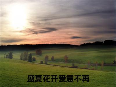 （盛夏花开爱意不再）盛夏花开爱意不再(黎姿晴段书谦)整书在线无广告高口碑小说