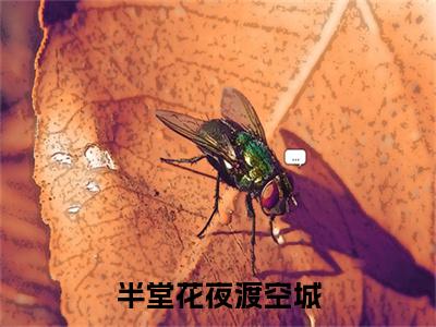 沈诺柠裴砚泽（半堂花夜渡空城）后续+番外精编之作_沈诺柠裴砚泽（半堂花夜渡空城）免费在线阅读无删减_笔趣阁
