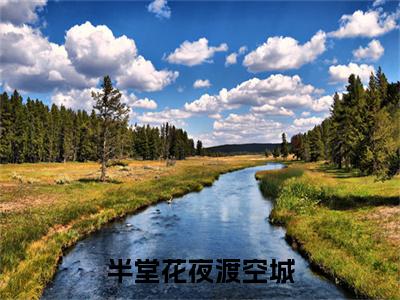 沈诺柠裴砚泽终章（半堂花夜渡空城）完整章节列表_笔趣阁