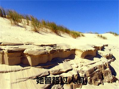 秦知颂陆闻修叫什么(她曾路过人间)小说全集阅读无广告（她曾路过人间）番外+续集