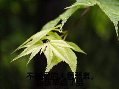 不被爱的人很悲哀，应该早点了结附加(不被爱的人很悲哀，应该早点了结)（许卿如温昱衡）全本浏览阅读连载中