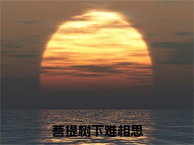 宋月昭陆望泽小说(菩提树下难相思)+前传（宋月昭陆望泽）阅读
