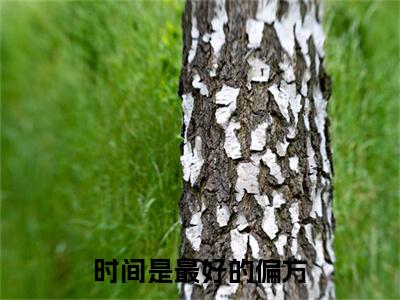 凌语槐骆靳言附加(凌语槐骆靳言)（时间是最好的偏方）全本浏览阅读连载中