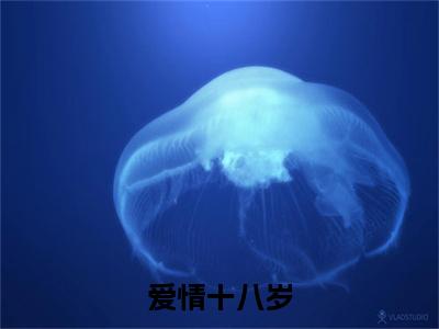 爱情十八岁小说番外+结局（薛若悠陆嘉屿）小说在线阅读