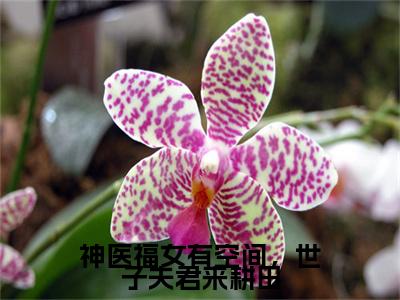 余半夏邓明远：结局+番外免费品鉴+全书阅读（神医福女有空间，世子夫君来耕田）：结局+番外评价五颗星