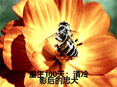 重生100天：清冷影后的忠犬小说(孟听晚程聿)+起点章节（重生100天：清冷影后的忠犬）阅读