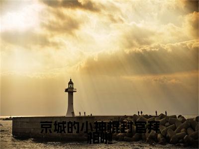 终章小说京城的小神棍封官拜相啦(叶桑知)：结局+番外评价五颗星