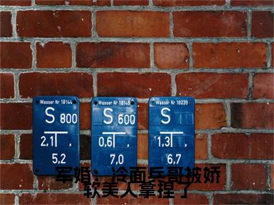 军婚：冷面兵哥被娇软美人拿捏了小说(姜夏陆远霆)小说结尾+隐藏篇章（军婚：冷面兵哥被娇软美人拿捏了姜夏陆远霆）畅享阅读