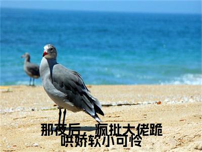 那夜后，疯批大佬跪哄娇软小可怜厉璟渊沈听榆后续（厉璟渊沈听榆）全文在线下载在线+纯净版结局