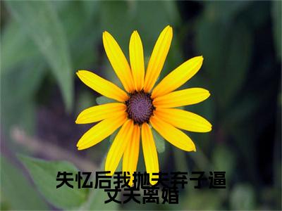 失忆后我抛夫弃子逼丈夫离婚小说完整在线阅读（江庭舟何蔓）前传列表