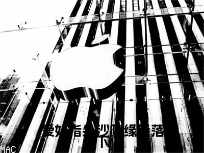 靳屹舟夏晴天小说无删减+后续（爱如指尖沙随缘轻落下）畅享阅读
