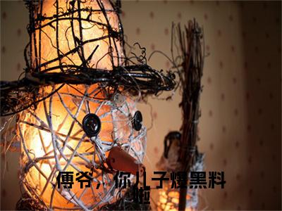 （南夏傅听寒）傅爷，你儿子爆黑料啦：结局+番外精品选集起点章节+阅读即将发布预订