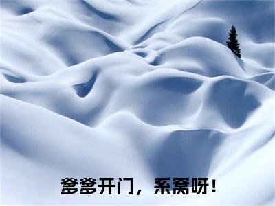 秦晚晚完结篇全篇阅读无广告（爹爹开门，系窝呀！）番外+续集