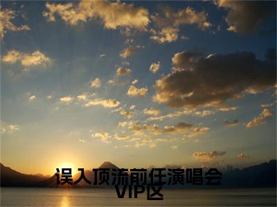 苏霏雨沈子离误入顶流前任演唱会VIP区后续(苏霏雨沈子离)（误入顶流前任演唱会VIP区）完整章节列表_笔趣阁