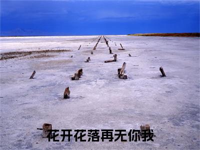 柳舒棠花开花落再无你我续集起点章节+全书阅读（花开花落再无你我）书荒必看