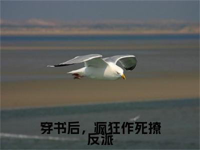 穿书后，疯狂作死撩反派林溪莫聿寒续集（林溪莫聿寒）章节在线阅读最近章节