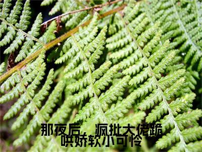 那夜后，疯批大佬跪哄娇软小可怜：结局+番外免费品鉴+全书阅读（厉璟渊沈听榆）：结局+番外评价五颗星