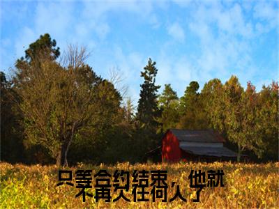 只等合约结束，他就不再欠任何人了续集(姜穗言祁云峥)全本完整免费版_起点章节+后续（只等合约结束，他就不再欠任何人了）