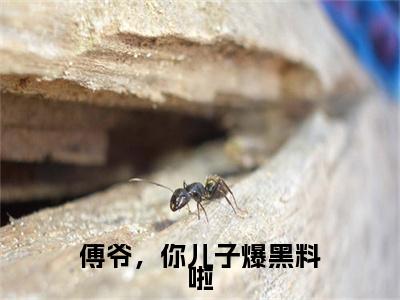 南夏傅听寒：+后续+番外傅爷，你儿子爆黑料啦无删减小说在线无广告高口碑小说