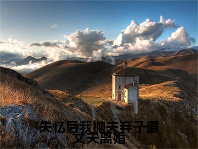 江庭舟何蔓失忆后我抛夫弃子逼丈夫离婚小说(江庭舟何蔓)（失忆后我抛夫弃子逼丈夫离婚）在线畅读+开篇大作+前传