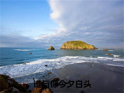 谁与你今夕白头完本(萧元燧虞桃夭)（萧元燧虞桃夭）前传+整本阅读全新作品预订