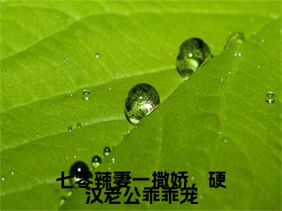 （宁栀陆川）七零辣妻一撒娇，硬汉老公乖乖宠宁栀陆川后续一口气无广告全书章节表