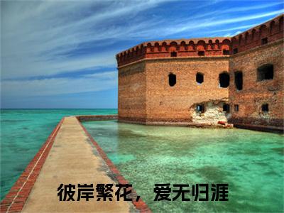 彼岸繁花，爱无归涯：+后续+番外顾宴泽江夏无删减小说在线无广告高口碑小说