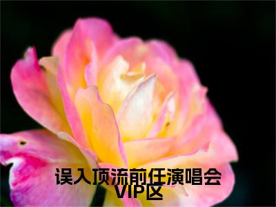 误入顶流前任演唱会VIP区小说章节目录+章节前文（苏霏雨沈子离）TXT清爽版在线