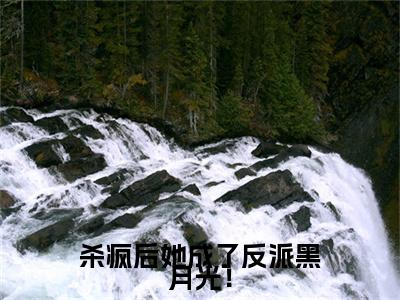 前传叶邢舒司度续集:全文+番外杀疯后她成了反派黑月光！：结局+番外新上热文
