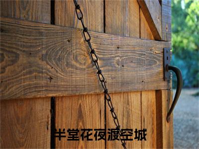 沈诺柠裴砚泽附加完整在线阅读（半堂花夜渡空城）最近更新列表