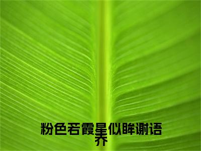 沈寒声谢语乔续集(沈寒声谢语乔)章节前文+全书阅读（粉色若霞星似眸谢语乔）最新连载