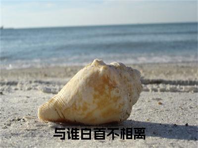 与谁白首不相离全文免费阅读_（陆淮川温晚柠免费阅读无弹窗）陆淮川温晚柠最新章节列表笔趣阁
