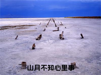 山月不知心里事小说(江御景叶夕岁)（山月不知心里事）完整章节列表_笔趣阁
