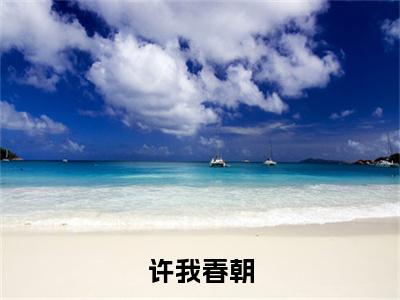 宋里里(许我春朝)（宋里里）完整章节列表_笔趣阁